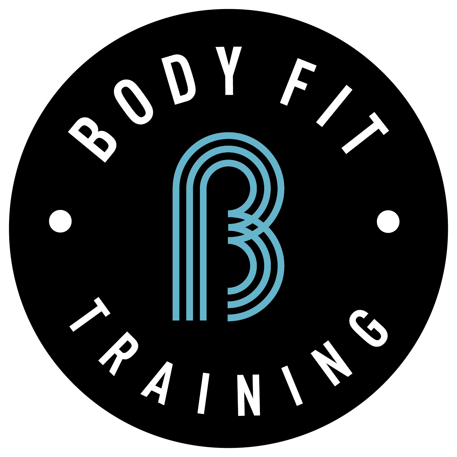 body fit training